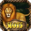 The Book Discovery on Wild Epic Jungle - Lucky Tiger King Casino Slots Way to Win on Super Las Vegas!