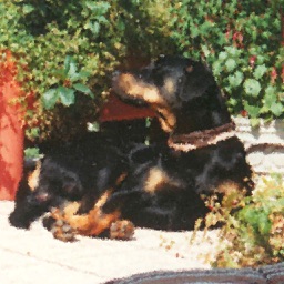 Vertretungsplan Liebigschule Frankfurt