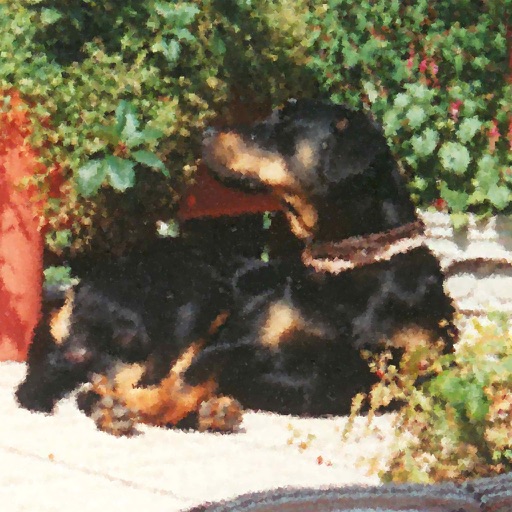 Vertretungsplan Liebigschule Frankfurt