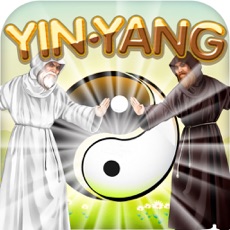 Activities of Physics Puzzle Shaolin Mystery of Yin and Yang