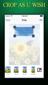 CROP PHOTO ++ Crop Photos Instantly With Effects Editing Tools screenshot #1 for iPhone