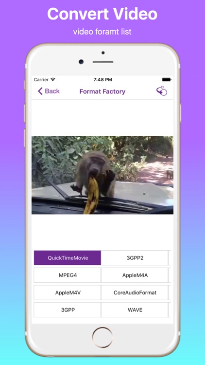 iVideo Format Factory