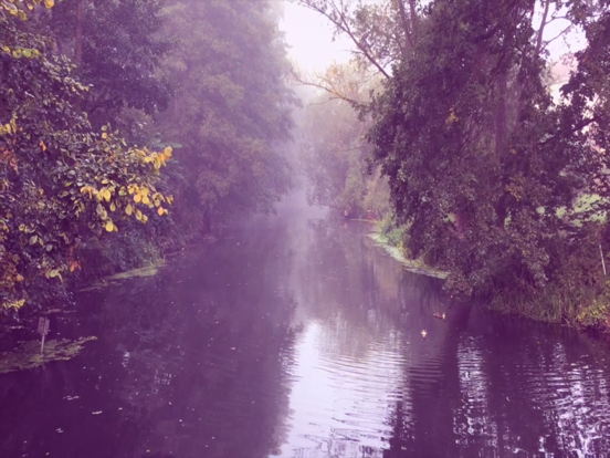 Transients of Light iPad screenshot 4 - Music app