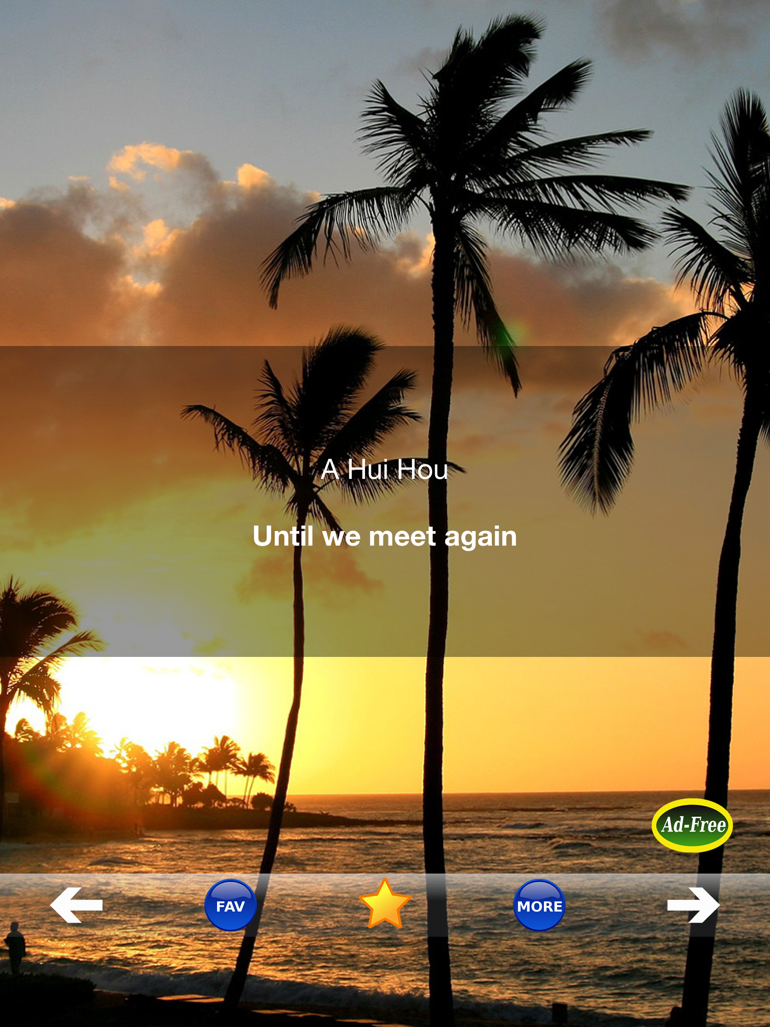 Hawaiian Words & Phrases! Hawaii Dictionary and Casual Language Translation Guide