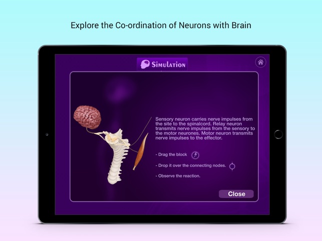 Nervous System(圖5)-速報App