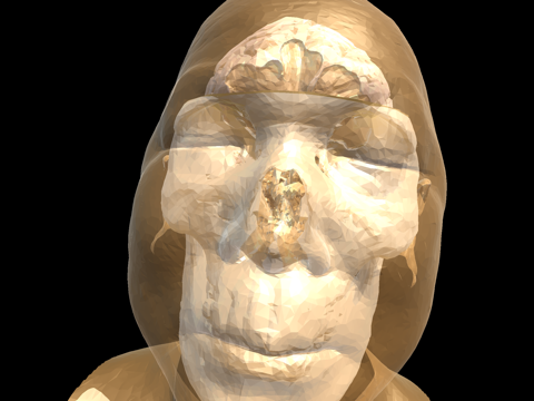 Screenshot #5 pour VR Body Guide