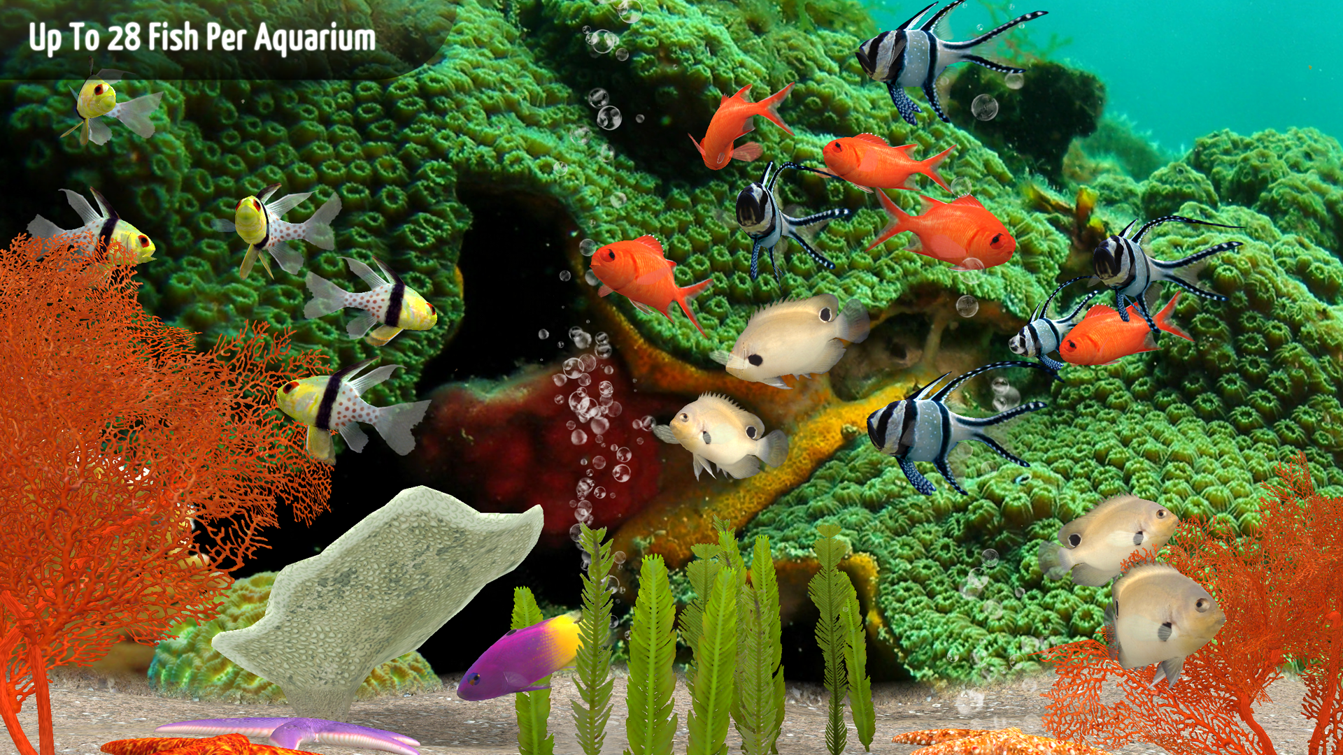 MyReef 3D Aquarium TV screenshot 3
