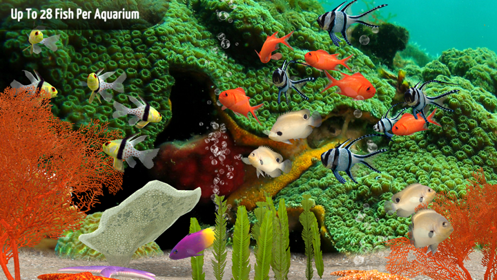 Screenshot #3 pour MyReef 3D Aquarium TV