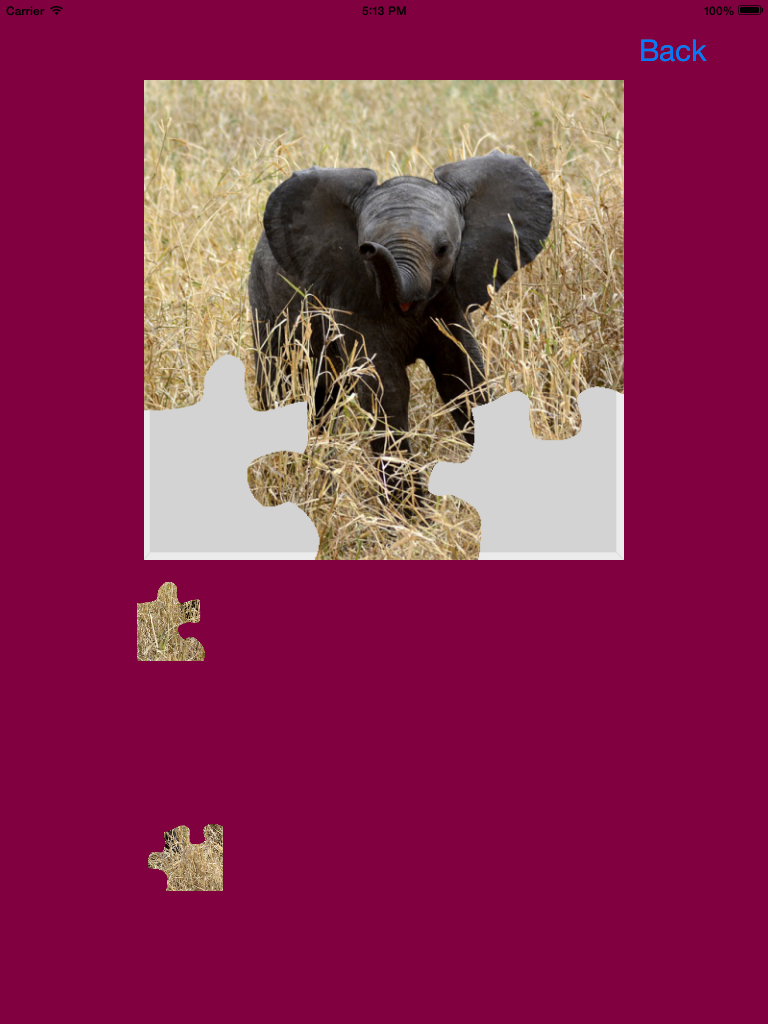Safari Animals Jigsaw Puzzles