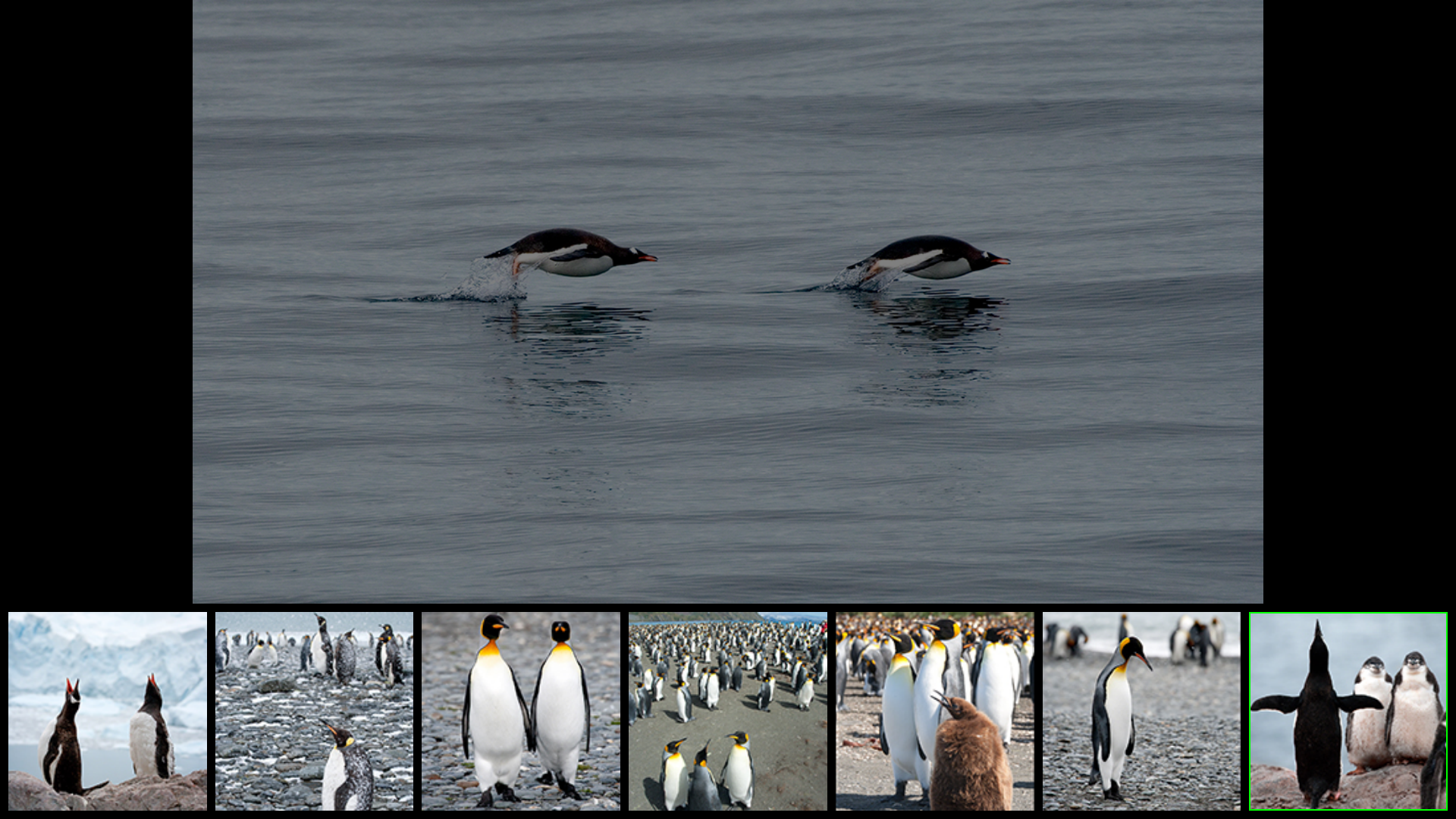 Album Antarctic