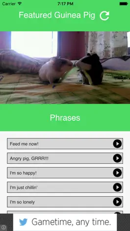 Game screenshot Guinea Pig Communicator mod apk