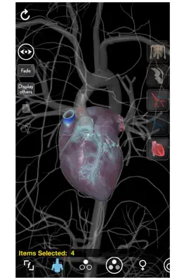 Game screenshot 3D Organon Anatomy - Heart, Arteries, and Veins hack