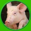 captivating farm animals for kids - no ads icon