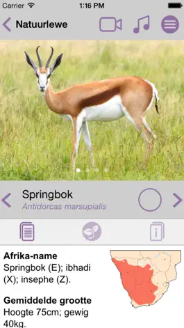 Game screenshot Sasol Natuurlewe vir Beginners (Lite): Blitsfeite, foto's en video's van 46 Suider-Afrikaanse diere hack