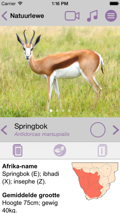 Screenshot #3 pour Sasol Natuurlewe vir Beginners (Lite): Blitsfeite, foto's en video's van 46 Suider-Afrikaanse diere