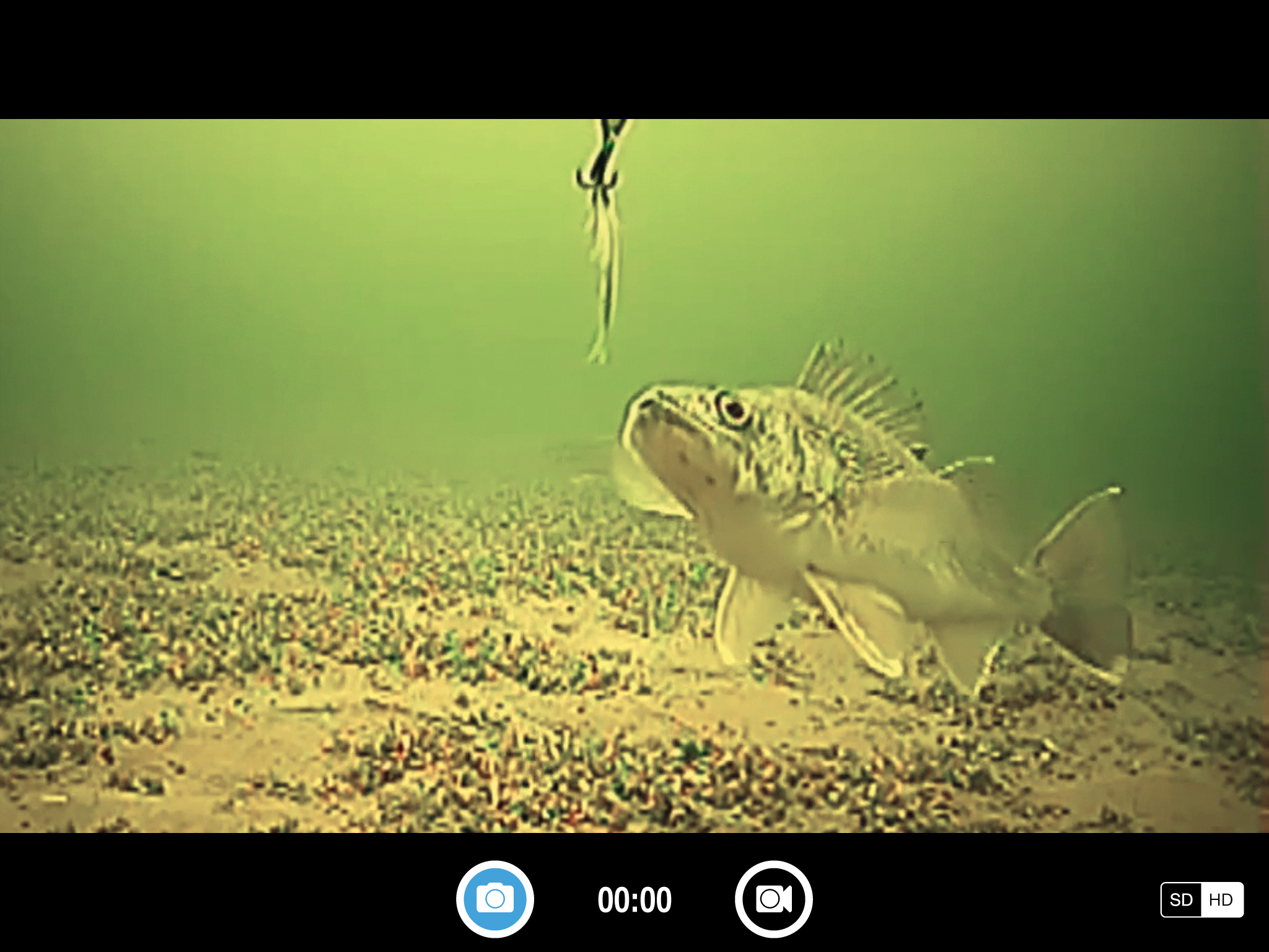 FishSens SondeCAM