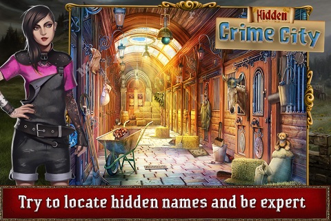 Hidden Crime City screenshot 3