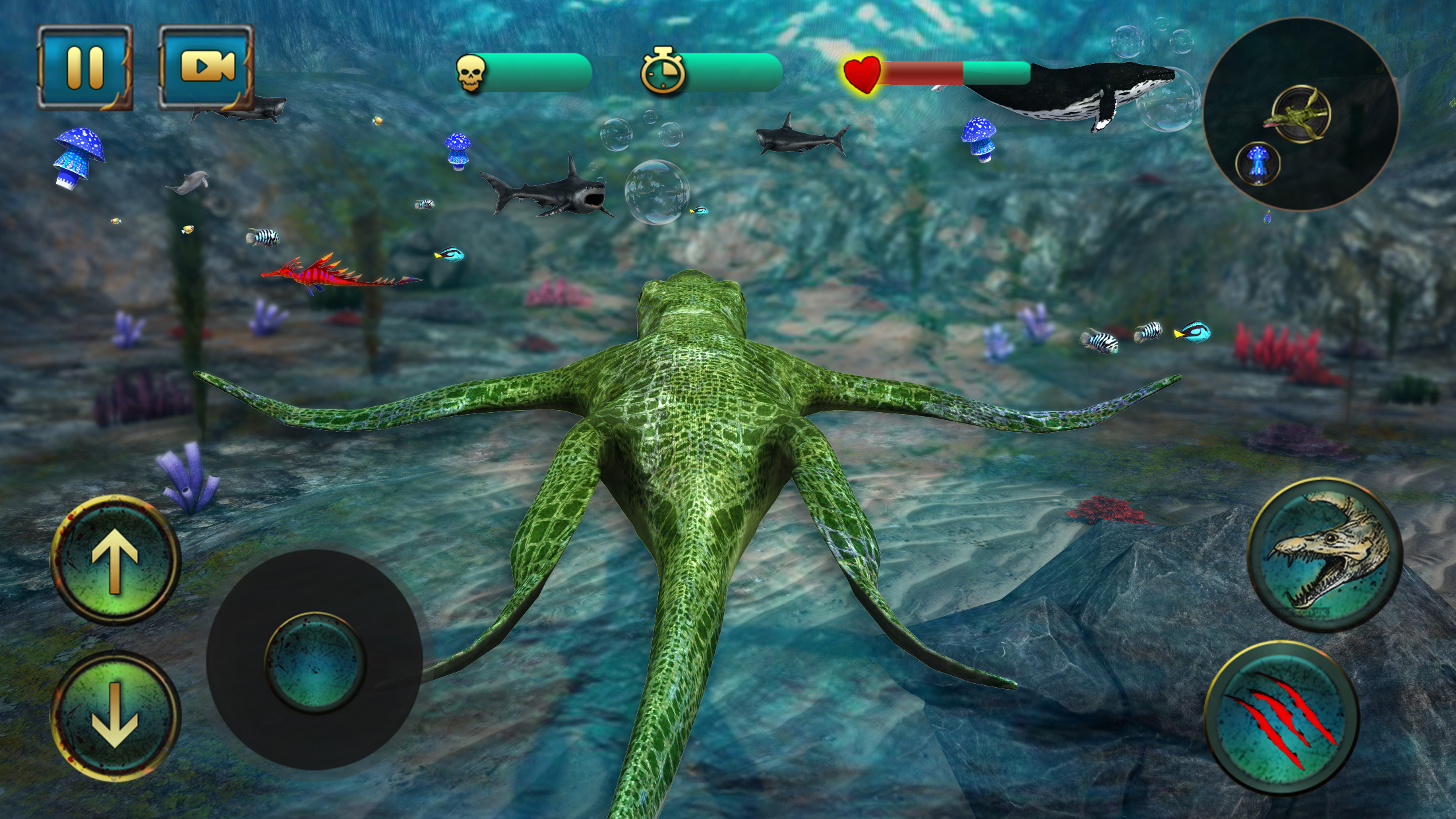 Ultimate Ocean Predator 2016