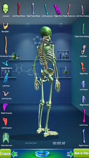 GM4L Skeleton Bone Game(圖4)-速報App