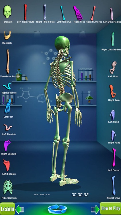 GM4L Skeleton Bone Game screenshot-3