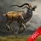 ******* 2016 Deer Hunting New Adventure Full - Wild Shooting challenge ********