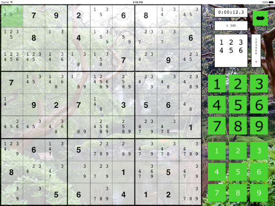 The Big Sudoku iPad app afbeelding 4