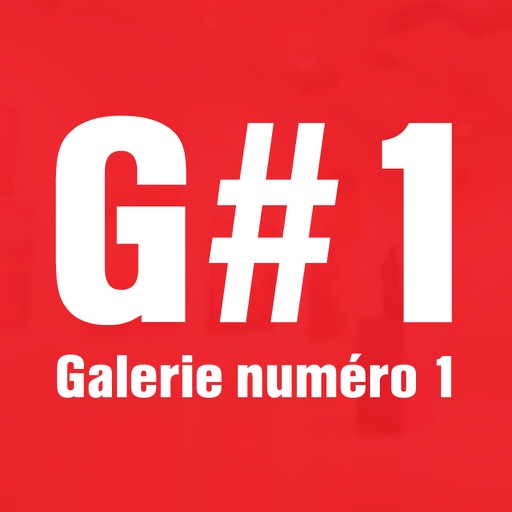 Galerie numéro 1 icon