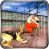 Prison Escape Crime Police Dog - Real Fighting Jail Break Game