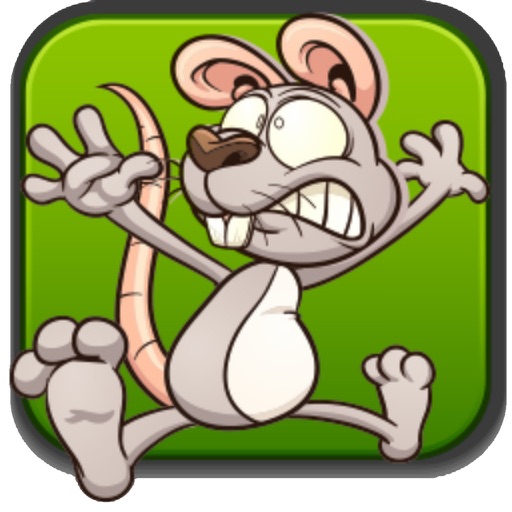 Mouse Cheese Run iOS App