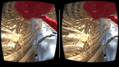 VR Body Guide Screenshot 3 - AppWisp.com VR Body Guide Screenshot 3 - AppWisp.com