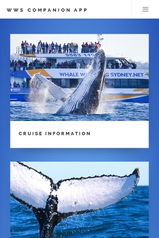 Whale App screenshot 2