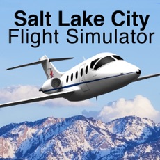 Activities of Salt Lake City Flight Simulator