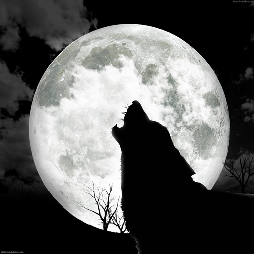 Wolf Howling Sounds and Wallpapers: Theme Ringtones and Alarm icon