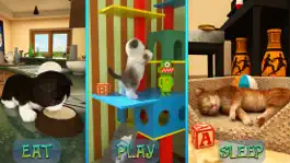 Game screenshot Cute Cat Adventure 2016 apk