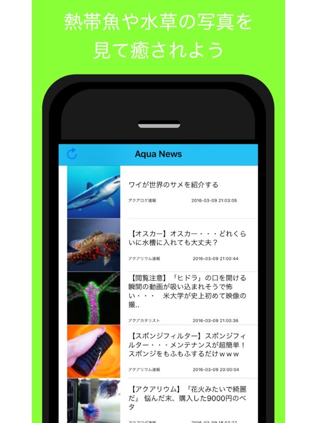 Aqua News アクアリウムの最新情報をまとめてお届け をapp Storeで