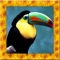 Toucan Simulator 3D