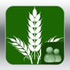 ScoutPro Consulting Wheat