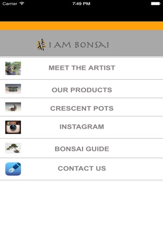 I Am Bonsai screenshot 3