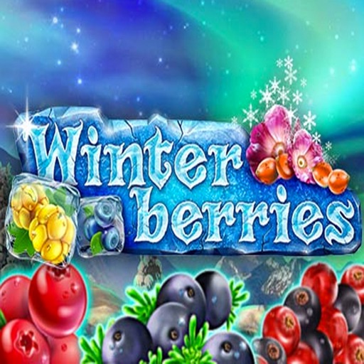 Winterberries - Slots Machine iOS App