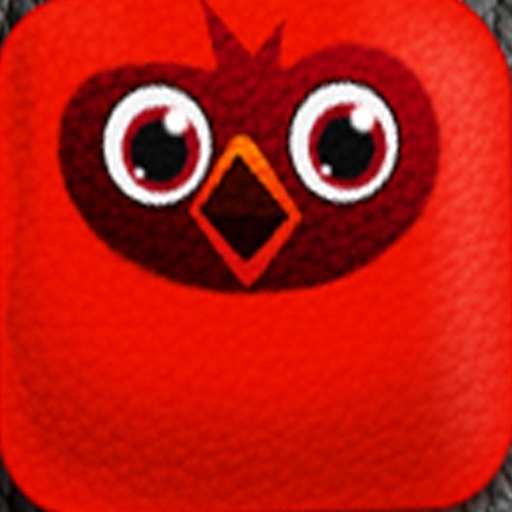 Birds Blast Icon