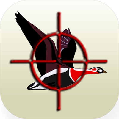 Duck Hunter Shoot : Duck Hunt Shooting Game Super Crazy Free Now