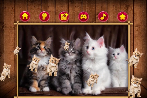 Cats Puzzle Game Like Real screenshot 4
