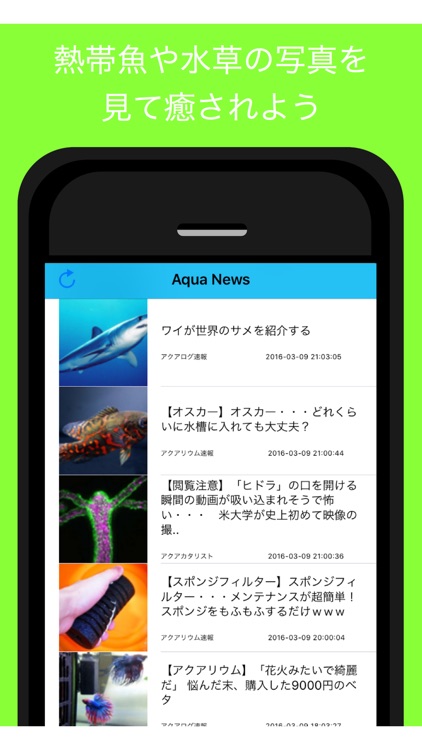 Aqua News - アクアリウムの最新情報をまとめてお届け