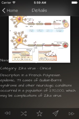 Zika Virus Infection screenshot 4