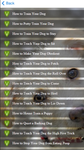 Dog Training - Learn How to House Train a Dogのおすすめ画像3