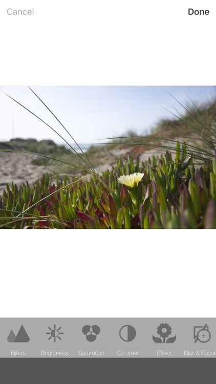 PhotoEffect - Free Pic and Photo Collage Maker & Grid Editor