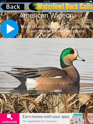 Screenshot #5 pour Waterfowl Duck Calls