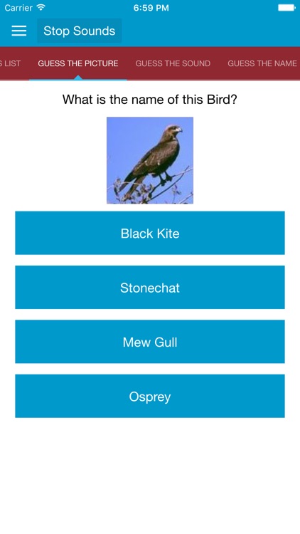 Spanish Birds Sounds screenshot-4