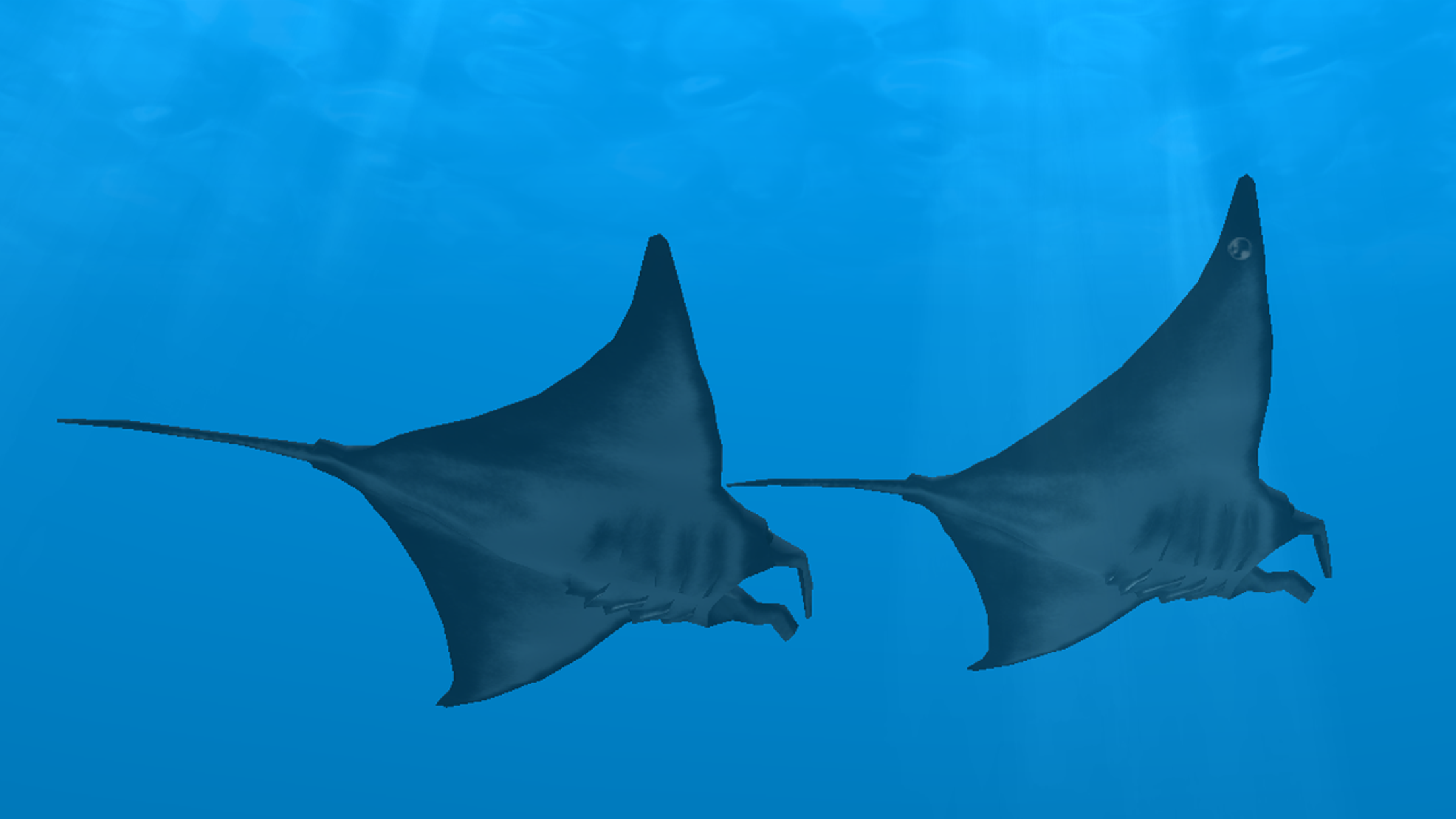 Ocean Dream screenshot 3