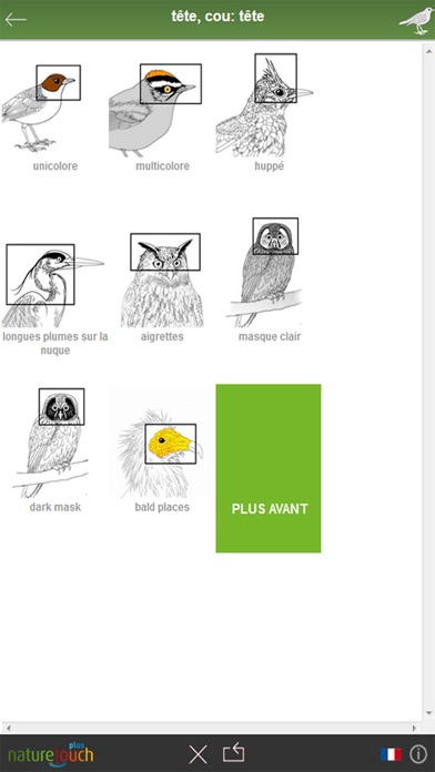 Screenshot #2 pour Identifier 500 oiseaux, naturetouch